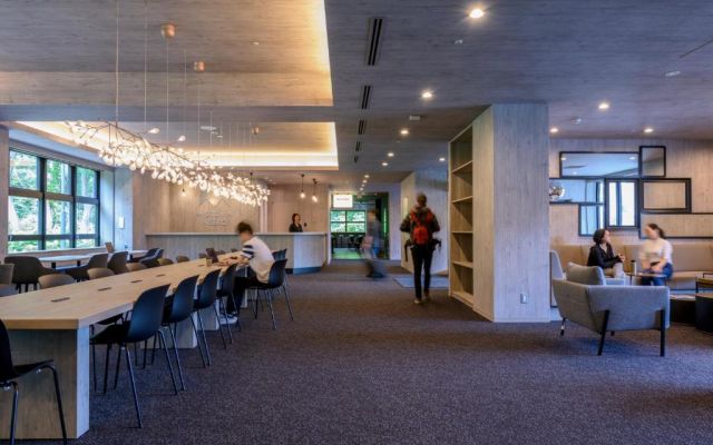 Japonia Freeride - Wyjazd na Snowboard po Puchu | Zima 2026