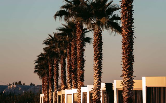 Wakeboard w Turcji - Wake Camp Hip-Notics jesień 2026