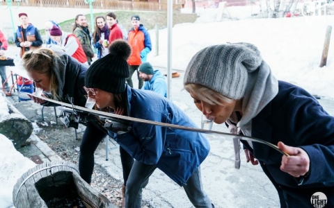 OneLightStudio 03382