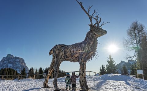 EH School - szkoła sportów ekstremalnych