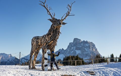 EH School - szkoła sportów ekstremalnych