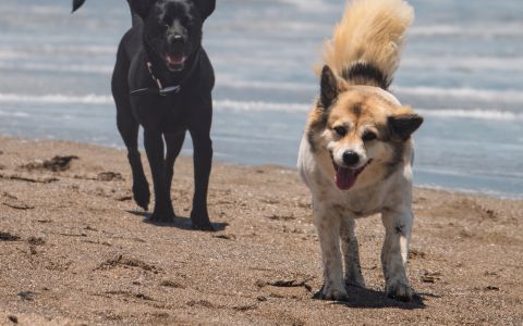 EH School - szkoła sportów ekstremalnych
