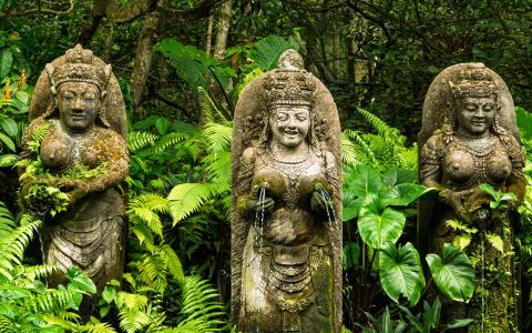 EH School - szkoła sportów ekstremalnych