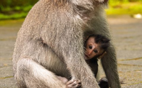 EH School - szkoła sportów ekstremalnych