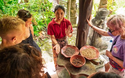 EH School - szkoła sportów ekstremalnych
