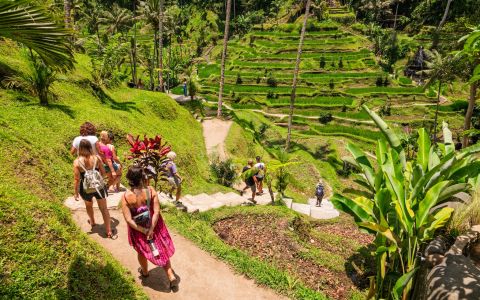 EH School - szkoła sportów ekstremalnych