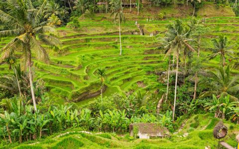 EH School - szkoła sportów ekstremalnych