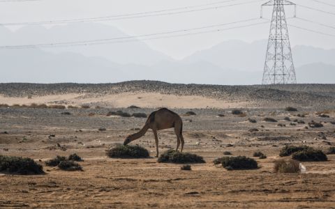 EH School - szkoła sportów ekstremalnych