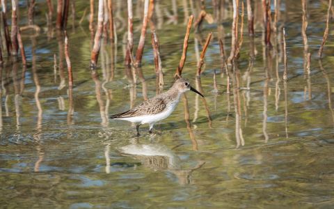 EH School - szkoła sportów ekstremalnych