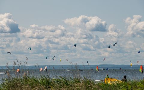 EH School - szkoła sportów ekstremalnych