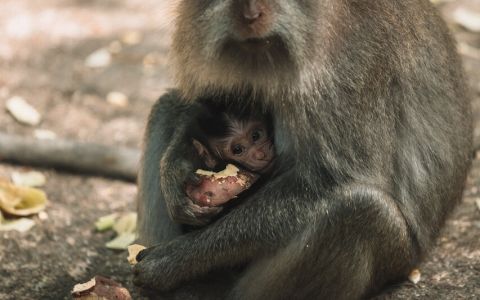 EH School - szkoła sportów ekstremalnych